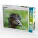 Emu (Dromaius) - CALVENDO Foto-Puzzle - calvendoverlag 39.99