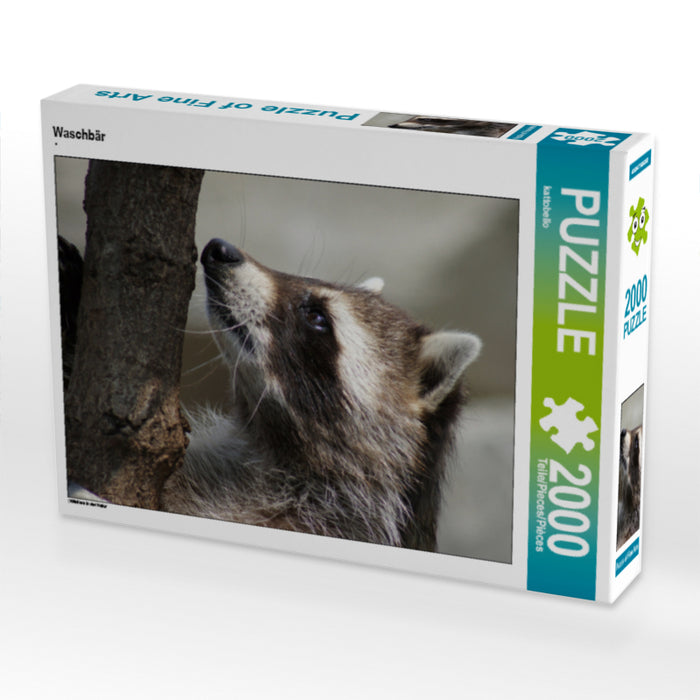 Waschbär - CALVENDO Foto-Puzzle - calvendoverlag 39.99