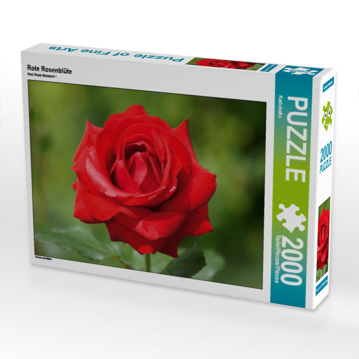Rote Rosenblüte - CALVENDO Foto-Puzzle - calvendoverlag 39.99