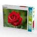 Rote Rosenblüte - CALVENDO Foto-Puzzle - calvendoverlag 39.99