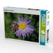 Honigbiene auf lila Aster - CALVENDO Foto-Puzzle - calvendoverlag 39.99