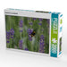 Hummel im Lavendelfeld - CALVENDO Foto-Puzzle - calvendoverlag 39.99