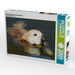 Golden Retriever in der Donau - CALVENDO Foto-Puzzle - calvendoverlag 39.99