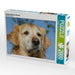 Golden Retriever Portrait - CALVENDO Foto-Puzzle - calvendoverlag 39.99