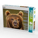 Braunbär - CALVENDO Foto-Puzzle - calvendoverlag 39.99