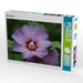 Malve (Malva) - CALVENDO Foto-Puzzle - calvendoverlag 39.99