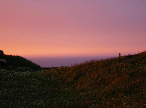 Wiese auf Helgoland im Abendschein - CALVENDO Foto-Puzzle - calvendoverlag 39.99