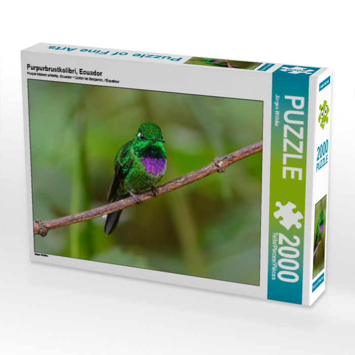 Purpurbrustkolibri, Ecuador - CALVENDO Foto-Puzzle - calvendoverlag 39.99