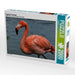 Eleganter Flamingo - CALVENDO Foto-Puzzle - calvendoverlag 39.99