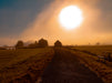 Im Licht der großen Sonne - CALVENDO Foto-Puzzle - calvendoverlag 39.99