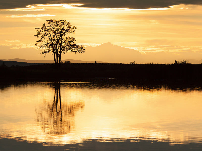 Abendstimmung - CALVENDO Foto-Puzzle - calvendoverlag 29.99