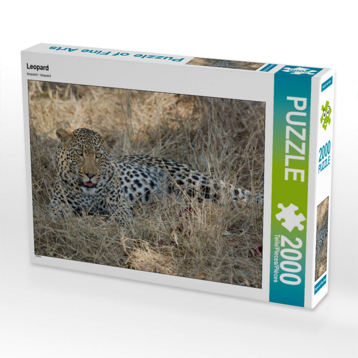 Leopard - CALVENDO Foto-Puzzle