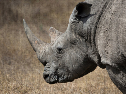 Weißes Nashorn - CALVENDO Foto-Puzzle - calvendoverlag 29.99