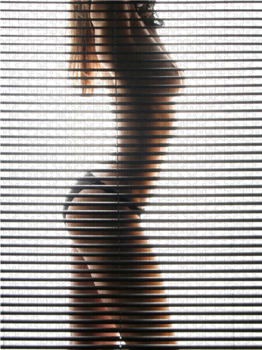 Striptease - CALVENDO Foto-Puzzle - calvendoverlag 39.99