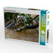 Gelbe Anakonda im Pantanal - CALVENDO Foto-Puzzle - calvendoverlag 29.99