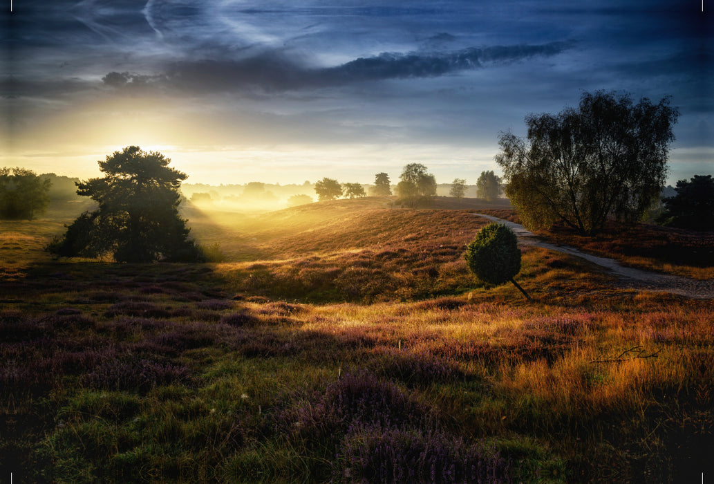 Premium textile canvas Premium textile canvas 120 cm x 80 cm landscape Westrup Heath / Germany 