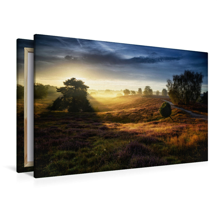 Premium textile canvas Premium textile canvas 120 cm x 80 cm landscape Westrup Heath / Germany 