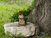 Squirl mit Baby - CALVENDO Foto-Puzzle - calvendoverlag 29.99