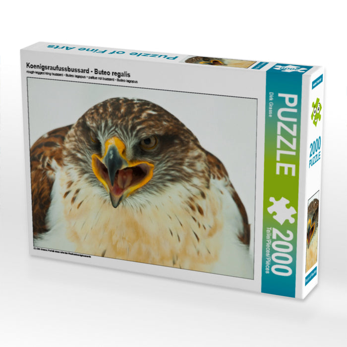 Koenigsraufussbussard - Buteo regalis - CALVENDO Foto-Puzzle - calvendoverlag 39.99