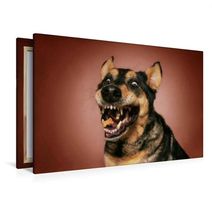 Premium textile canvas Premium textile canvas 120 cm x 80 cm landscape German Shepherd 