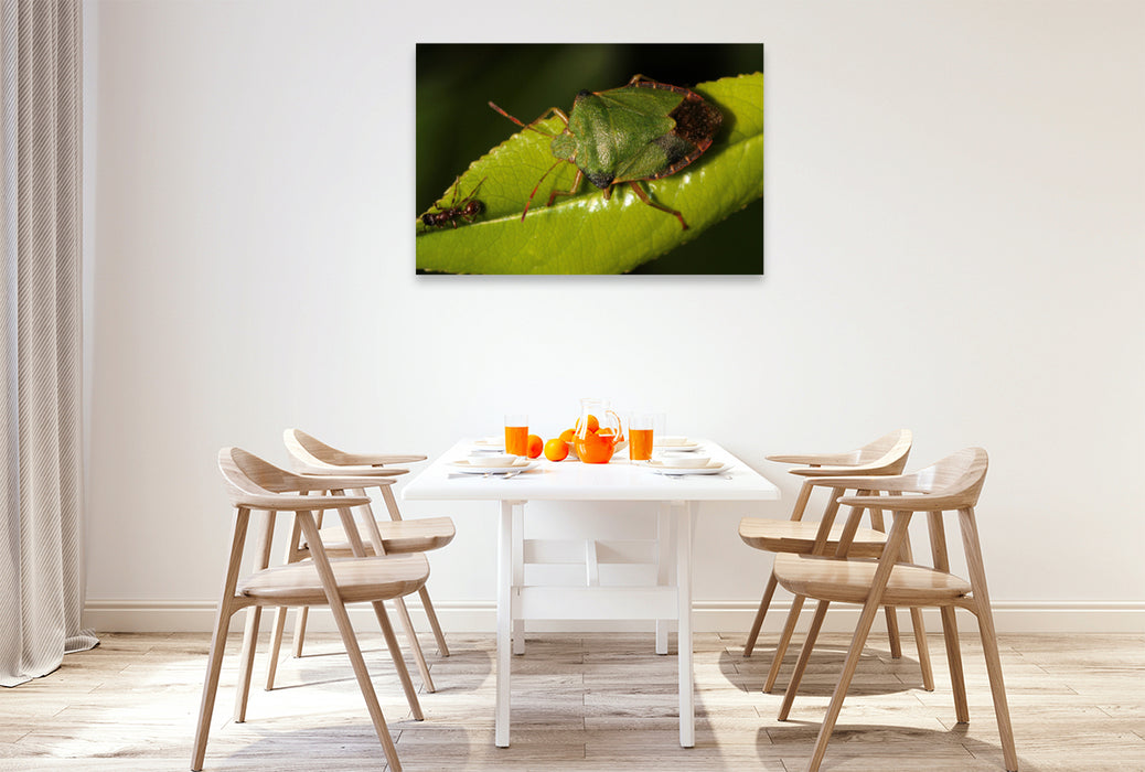 Premium textile canvas Premium textile canvas 120 cm x 80 cm landscape The green stink bug and the ant 