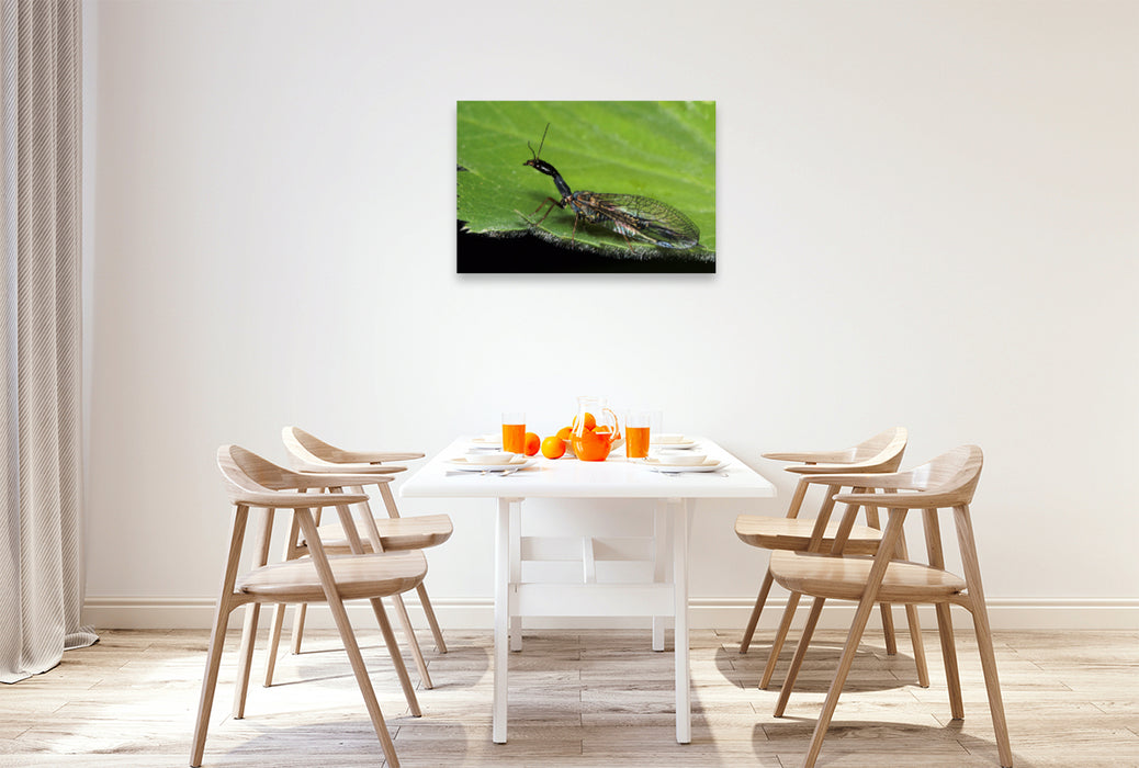 Premium textile canvas Premium textile canvas 90 cm x 60 cm landscape The camel neck fly, a beauty of nature 