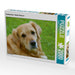 Hundeportrait - Golden Retriever - CALVENDO Foto-Puzzle - calvendoverlag 39.99