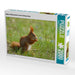 Süßes Eichhörnchen in der Frühlingswiese - CALVENDO Foto-Puzzle - calvendoverlag 39.99