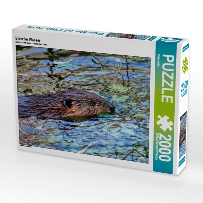 Biber im Wasser - CALVENDO Foto-Puzzle - calvendoverlag 39.99