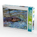 Biber im Wasser - CALVENDO Foto-Puzzle - calvendoverlag 39.99