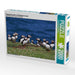 Papagaientaucher auf Skokholm Island - CALVENDO Foto-Puzzle - calvendoverlag 39.99