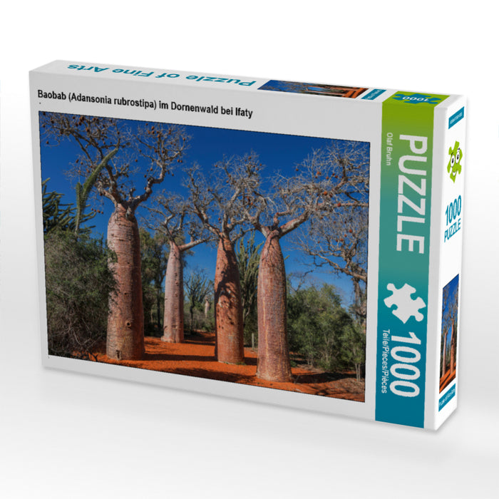 Baobab (Adansonia rubrostipa) im Dornenwald bei Ifaty - CALVENDO Foto-Puzzle - calvendoverlag 29.99
