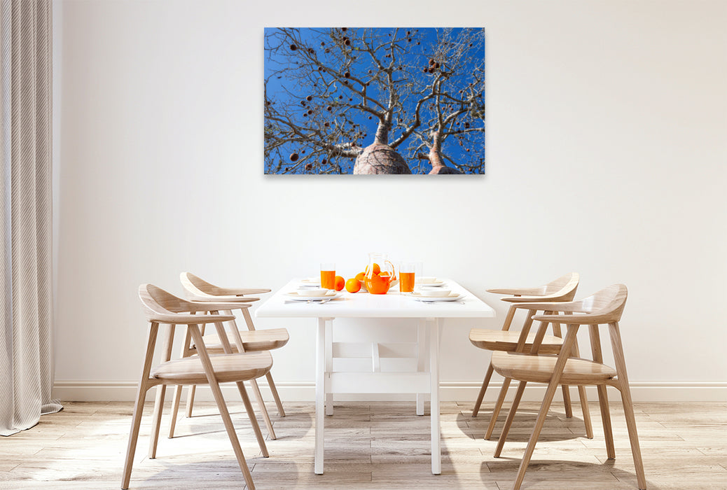 Premium textile canvas Premium textile canvas 120 cm x 80 cm landscape Baobab fruits (Adansonia rubrostipa) 