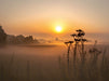 Sonnenaufgang im Teufelsmoor - CALVENDO Foto-Puzzle - calvendoverlag 39.99