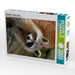 Waschbär - Procyon lotor - CALVENDO Foto-Puzzle - calvendoverlag 39.99