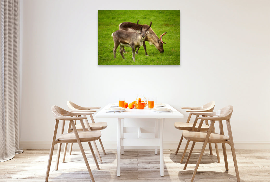 Premium textile canvas Premium textile canvas 120 cm x 80 cm landscape reindeer 