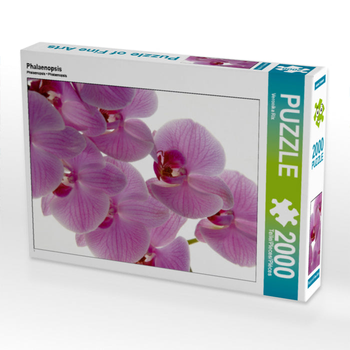 Phalaenopsis - CALVENDO Foto-Puzzle - calvendoverlag 39.99