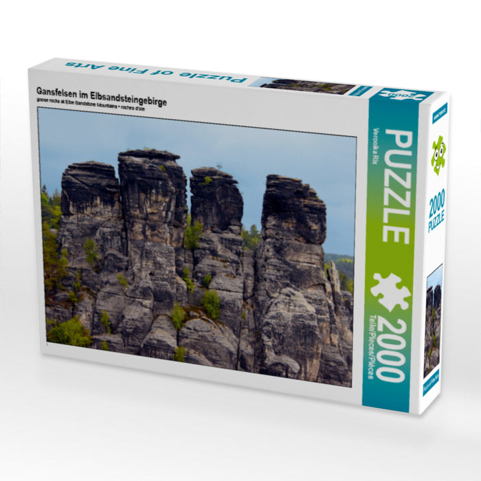 Gansfelsen im Elbsandsteingebirge - CALVENDO Foto-Puzzle - calvendoverlag 29.99