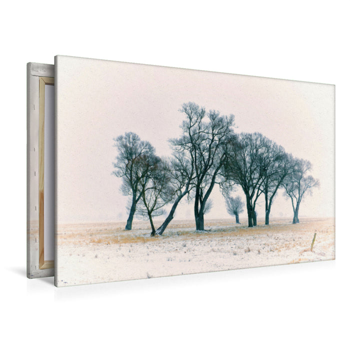 Premium textile canvas Premium textile canvas 120 cm x 80 cm landscape Trees in winter fog, Saxony-Anhalt 