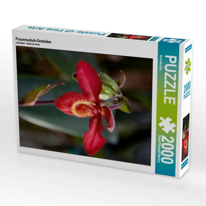 Frauenschuh-Orchidee - CALVENDO Foto-Puzzle - calvendoverlag 39.99