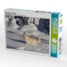 Islandhund im Schnee - CALVENDO Foto-Puzzle - calvendoverlag 39.99