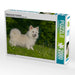 Selbsbewusster Islandhund - CALVENDO Foto-Puzzle - calvendoverlag 29.99