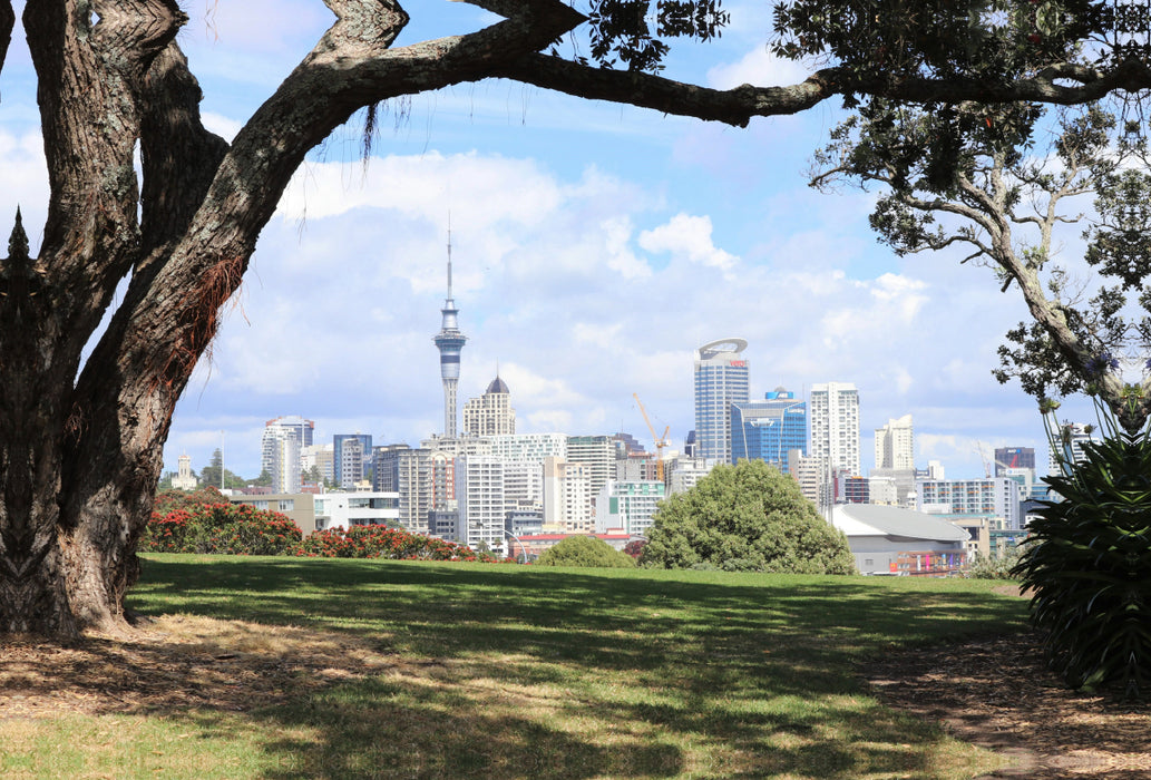 Premium textile canvas Premium textile canvas 120 cm x 80 cm landscape A motif from the Auckland 2019 calendar 