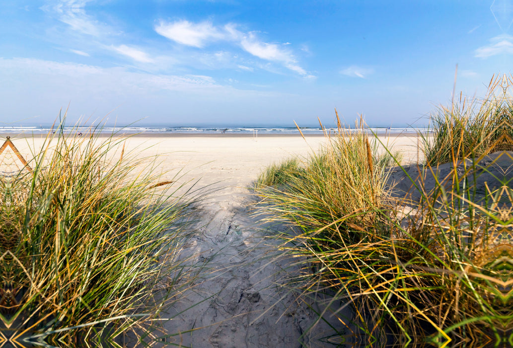 Premium textile canvas Premium textile canvas 120 cm x 80 cm across View through the marram grass to the beach 