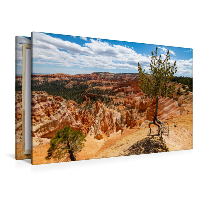 Premium Textil-Leinwand Premium Textil-Leinwand 120 cm x 80 cm quer Luftbaum, USA, Bryce Canyon