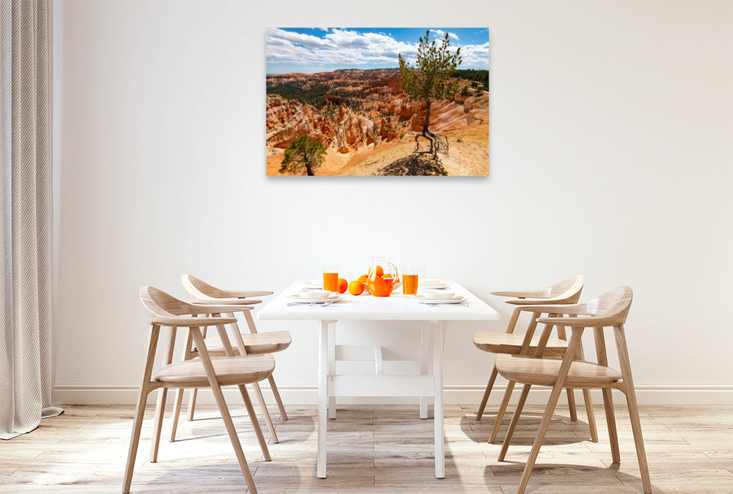 Premium textile canvas Premium textile canvas 120 cm x 80 cm landscape air tree, USA, Bryce Canyon 