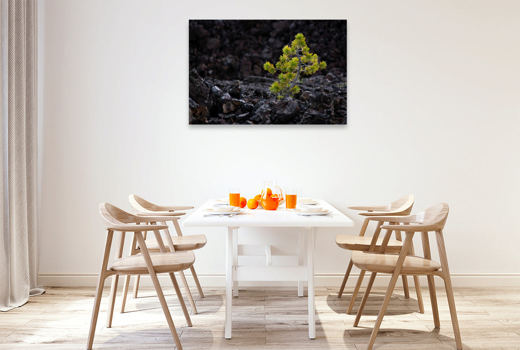 Premium textile canvas Premium textile canvas 120 cm x 80 cm landscape Life finds a way, USA, Craters of the Moon 