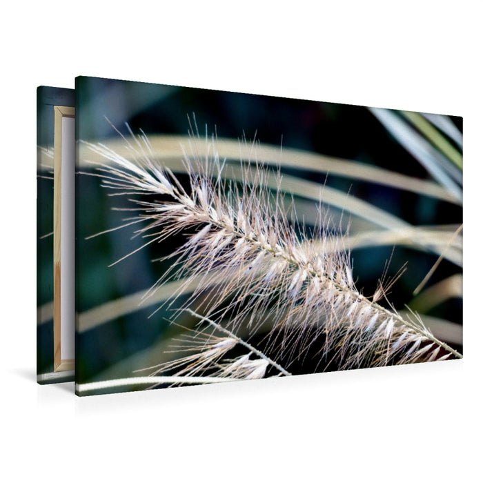Premium textile canvas Premium textile canvas 120 cm x 80 cm landscape grasses - detail shot 
