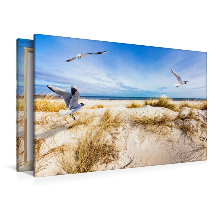 Premium textile canvas Premium textile canvas 120 cm x 80 cm landscape Seagulls on the beach in Prerow 