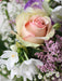 Rose und weiße Narzissen - CALVENDO Foto-Puzzle - calvendoverlag 29.99